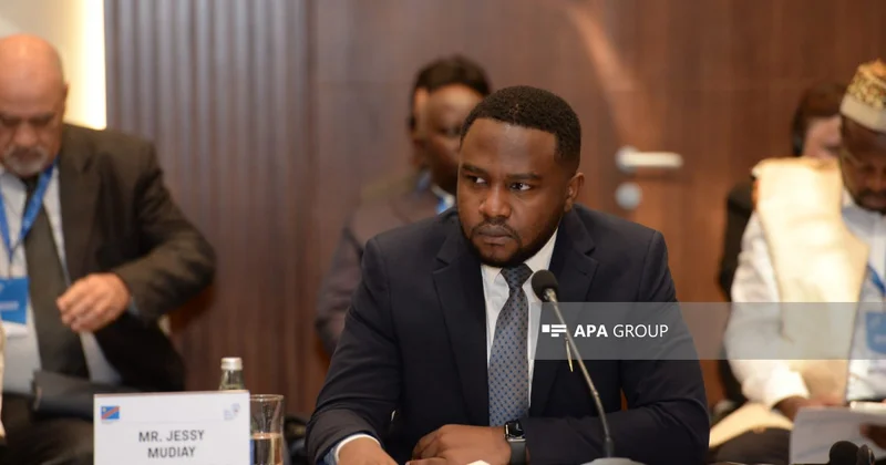 BMT mütəxəssisi müstəmləkəçiliyə qarşı beynəlxalq əməkdaşlığı gücləndirməyə çağırıb