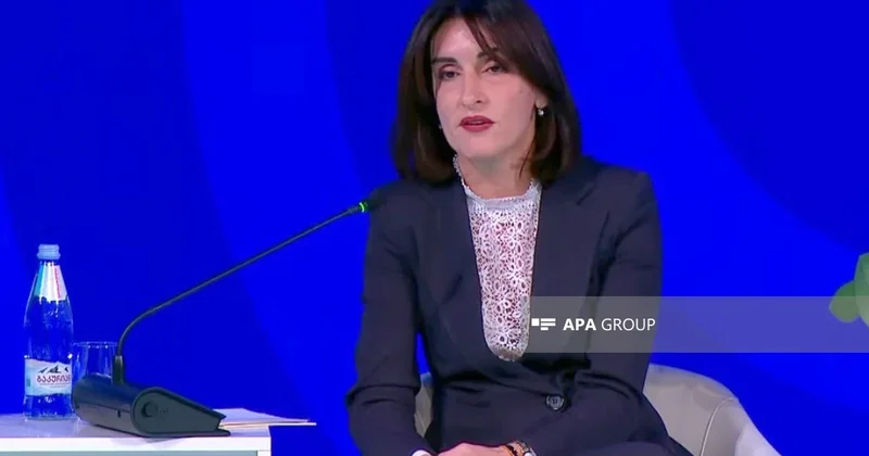 Gürcüstanın XİN rəhbəri: Azərbaycanla strateji tərəfdaşlığın çox ciddi əhəmiyyəti var