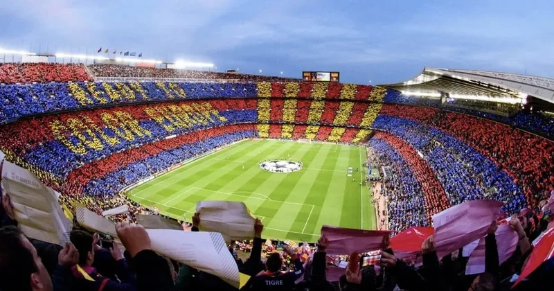 “Barsa” doğma meydanına qayıdır