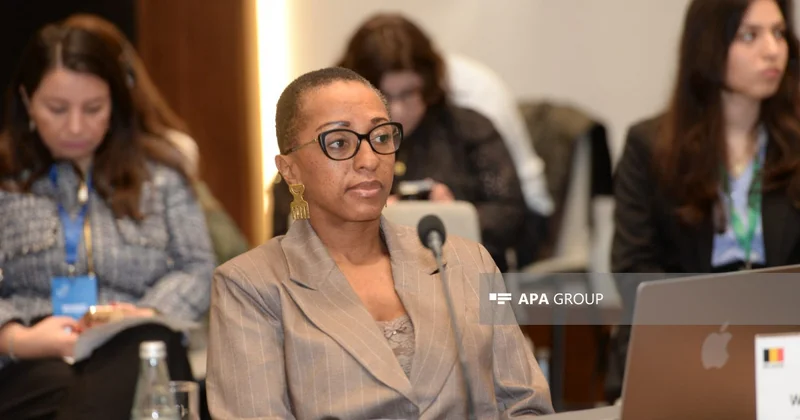 Beynəlxalq ekspert: Belçikada afrikalıların aşağılanması hələ də davam edir