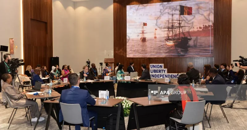 Бразильский эксперт рассказал на конференции в Баку об унижениях африканцев в Бельгии