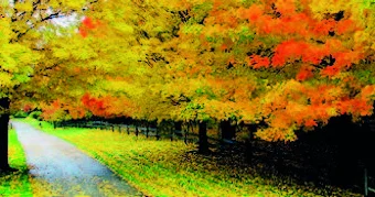 Yağmursuz bir cümə günü