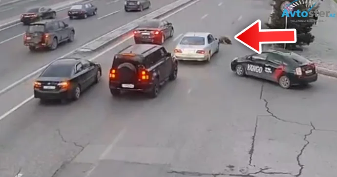 “Belə piyadalara görə bəzi sürücülərin həyatı qaralır” ELMƏDDİN MURADLI VİDEO