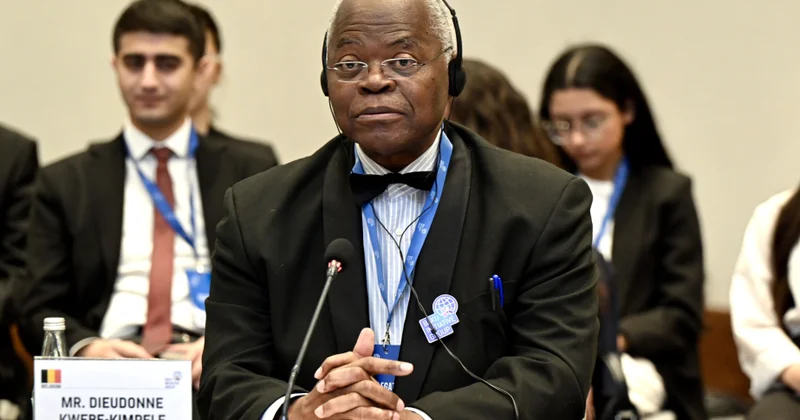 Журналист: Бельгия колонизировала Конго за счет кредиторов Короля Леопольда II