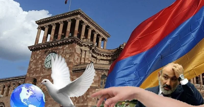 Haylar üçün ən doğru sayılan SÜLH SINAĞI TƏHLİL