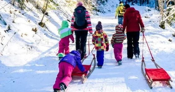 DTA qış turizmi ilə bağlı təbliğat xidmətlərinə 141 min xərcləyəcək