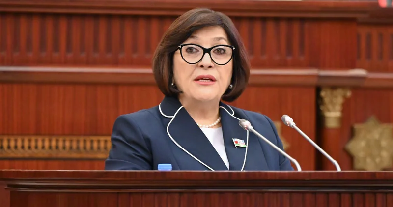 Сахиба Гафарова представила в Милли Меджлисе доклад по итогам международной парламентской конференции