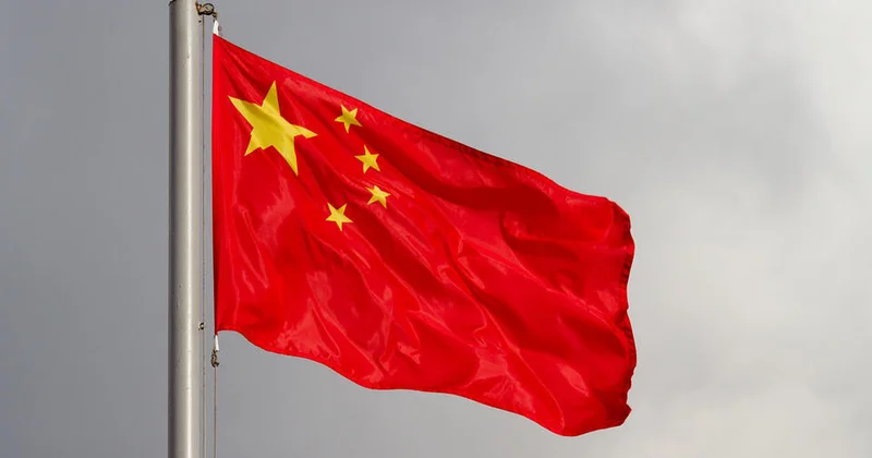 Китай готов освободить от пошлин все товары из стран Африки