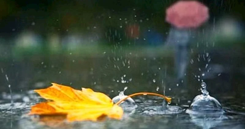 “Yağıntının azalması kənd təsərrüfatına və ərzaq bolluğuna mənfi təsir edir”