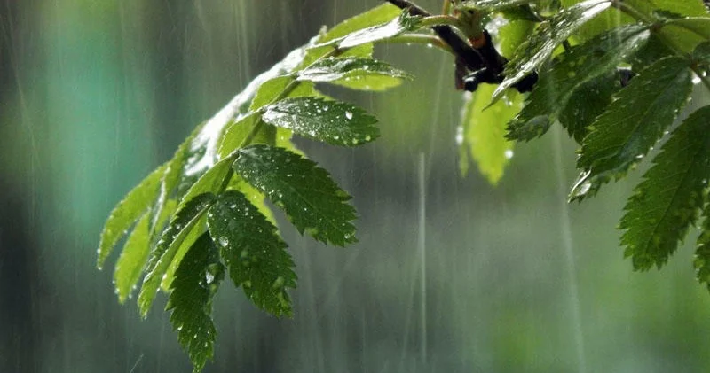 DİQQƏT! Bu tarixdən hava KƏSKİN dəyişəcək XƏBƏRDARLIQ KONKRET