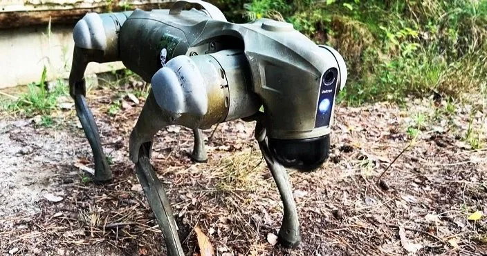 Elmi dünyada bir ilk: İnsan beyin hüceyrələri ilə işləyən robot it hazırlandı