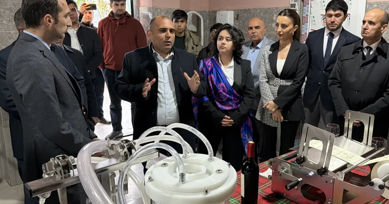 2030 cu ilədək Azərbaycanda butik şərabçılıq müəssisələrinin sayı 4 dəfə artırılacaq
