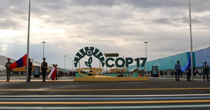 Куда из Армении поедет COP18?