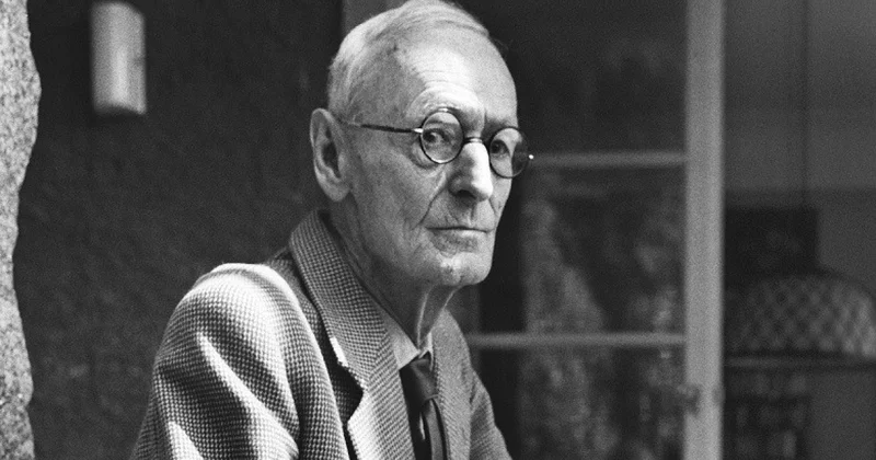 Meşə adamı Herman Hessenin hekayəsi