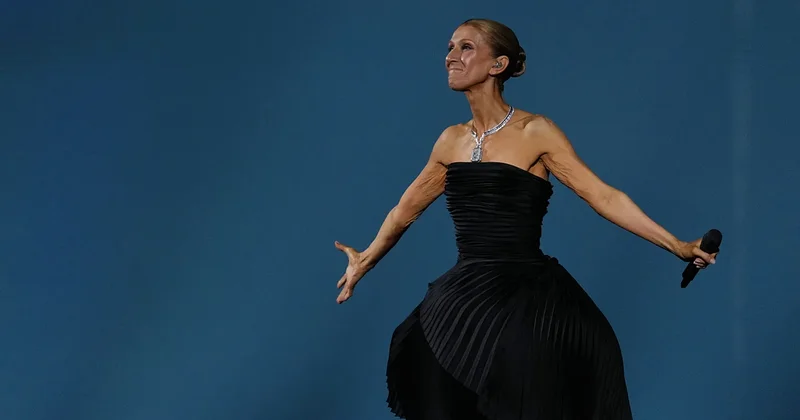 Selin Paris konsertlərindən nə qədər qazandı?