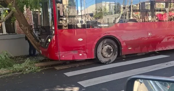 В Гяндже автобус BakuBus столкнулся с легковушкой и врезался в дерево