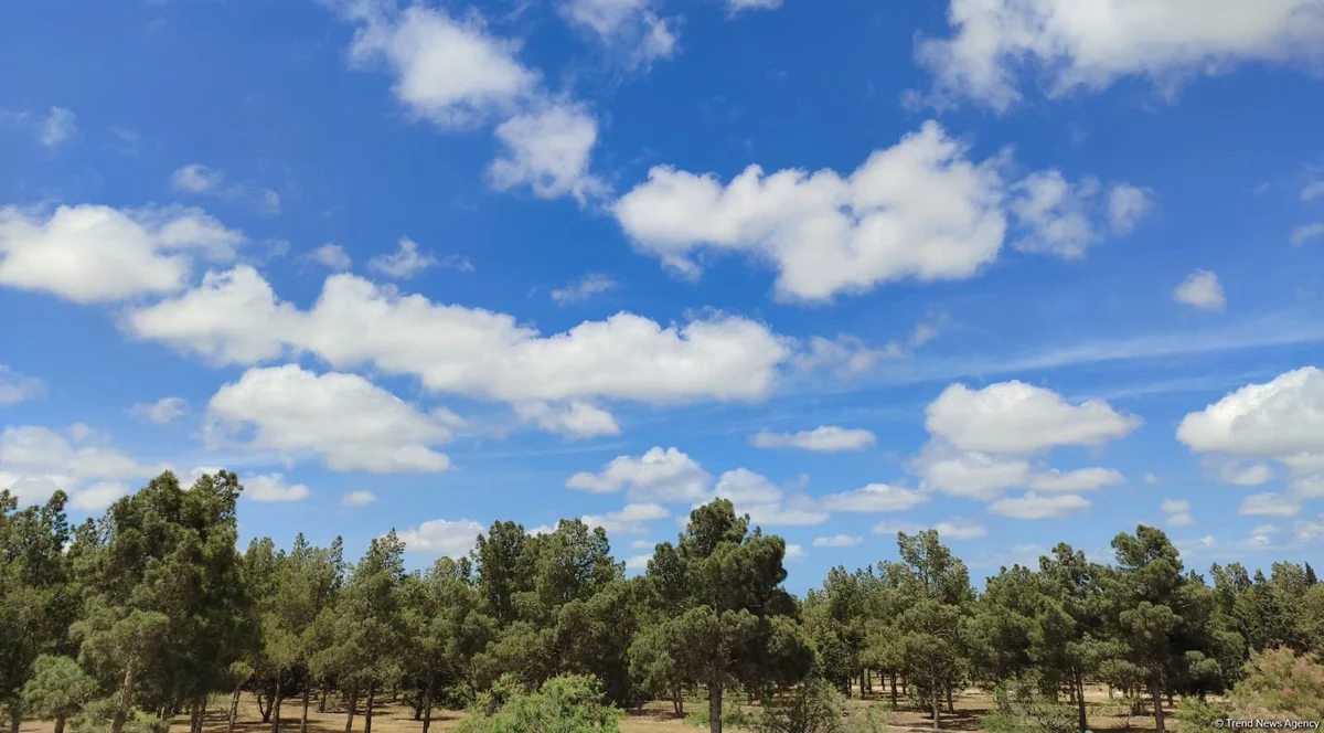 Azərbaycanda yeni ilin ilk gününə olan hava proqnozu açıqlanıb Doğru Xəbərlər