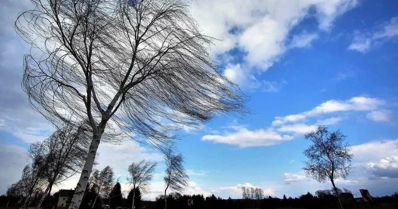 В Баку и большинстве регионов три дня будет дуть сильный ветер ПРЕДУПРЕЖДЕНИЕ