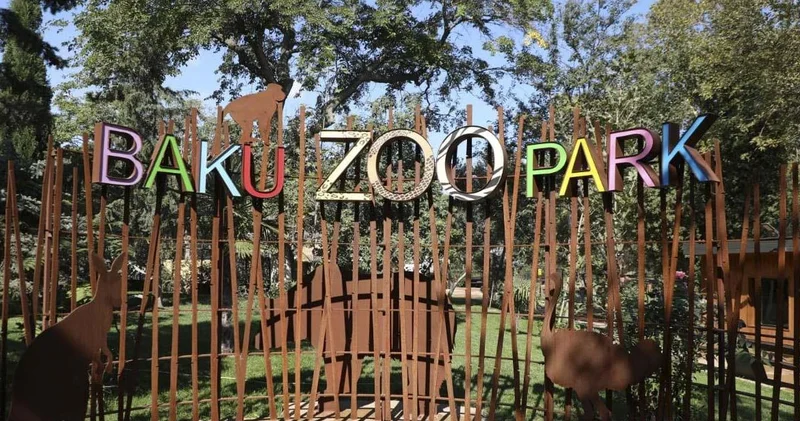 Bakı Zooparkı niyə panda ala bilmir... Direktor müavini açıqladı