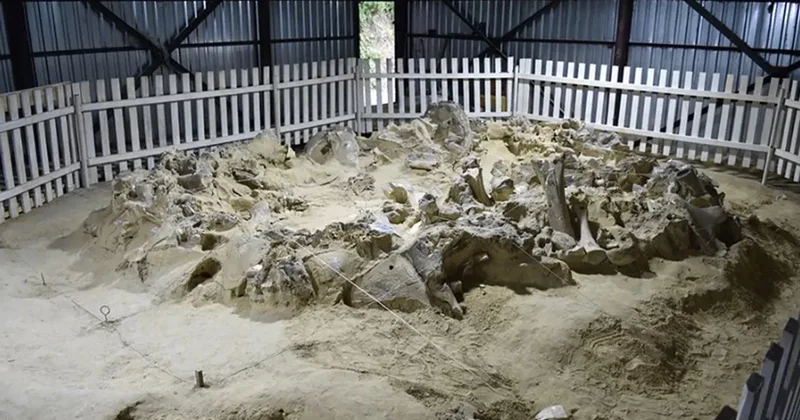 Mamont sümüklərindən evlər: İnsanın dondurucu soyuqla sınağı