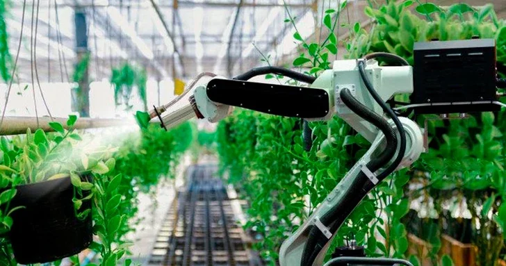 Сила духа и технологий: парализованный китаец создал умную ферму будущего