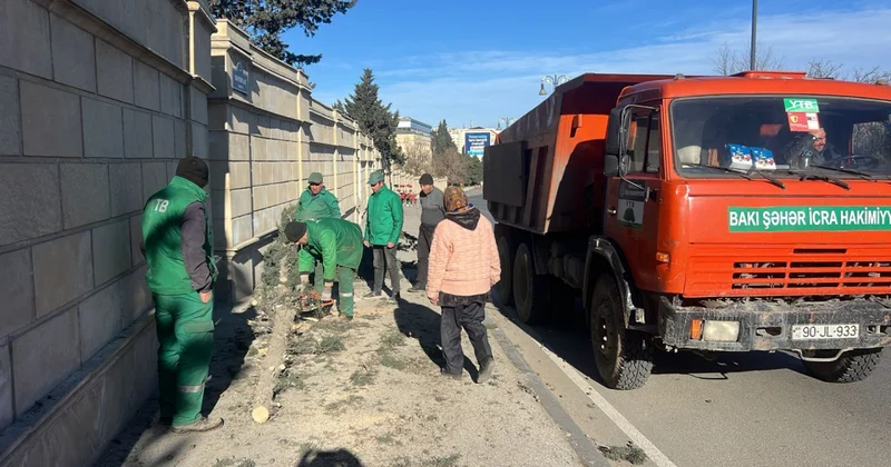 Bakıda güclü küləyin törətdiyi FƏSADLAR FOTO
