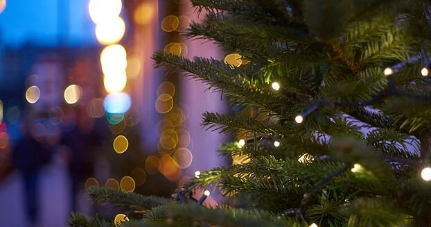 Rusiyalı deputat Yeni il tətillərini “ən ölümcül” adlandırıb...