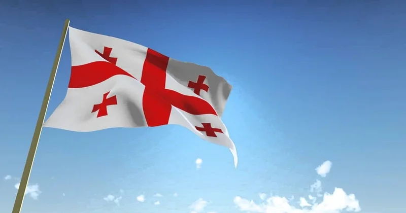 Gürcüstanda Azərbaycan vətəndaşları da daxil olmaqla 31 əcnəbi saxlanılıb