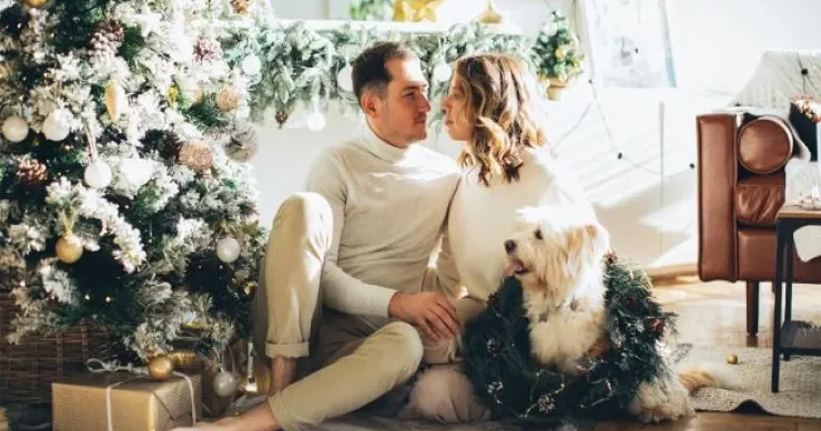 Yeni il möcüzəsi yaxındır: 4 BÜRC əsl sevgini tapacaq