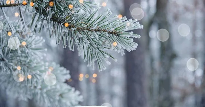 Yanvarın 1 də gözlənilən hava şəraiti Qar yağacağı gözlənilir. Ayrı ayrı yerlərdə intensiv olacağı ehtimalı var