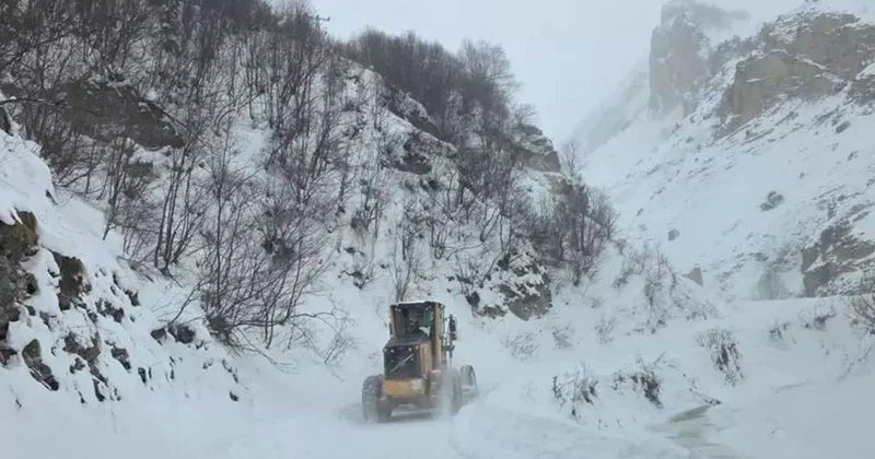 В Турции три человека пропали без вести после схода лавины, ведутся поиски