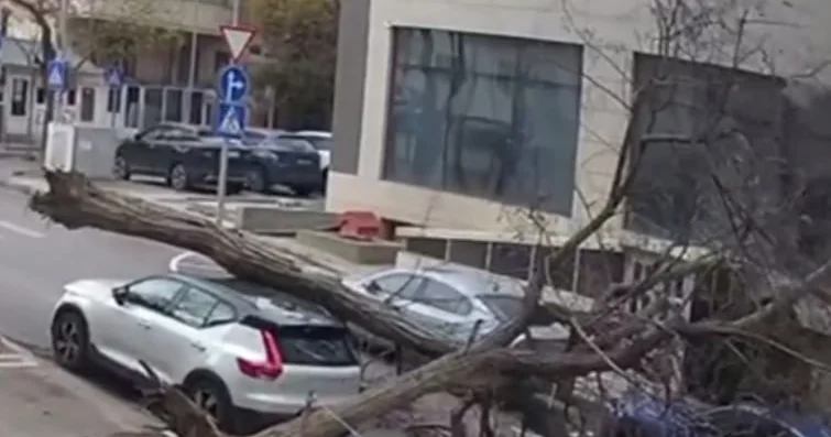 Bakıda küləyin aşırdığı ağac avtomobilin üzərinə düşdü ANBAAN VİDEO